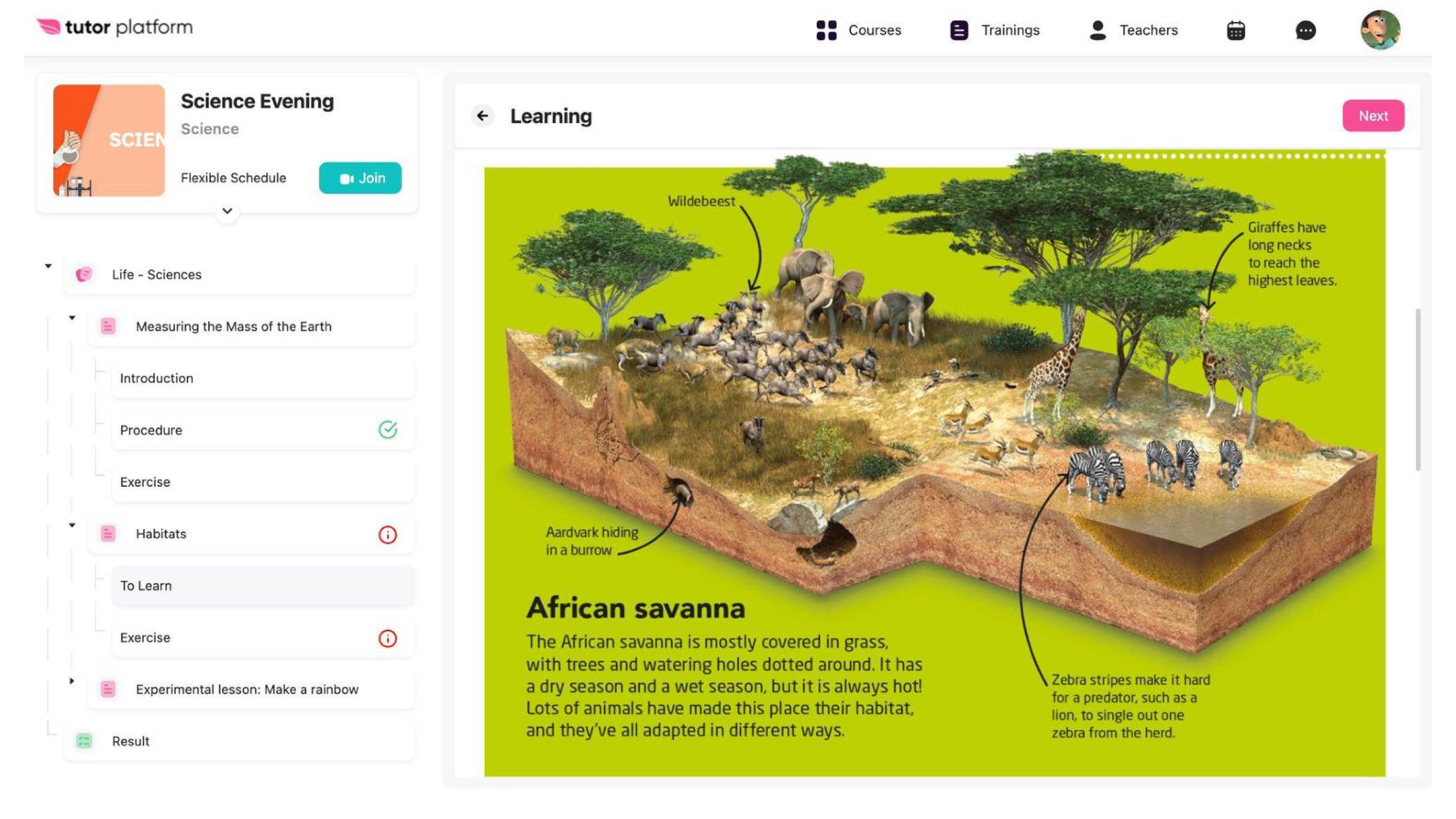 Student portal · Tutor Platform LMS